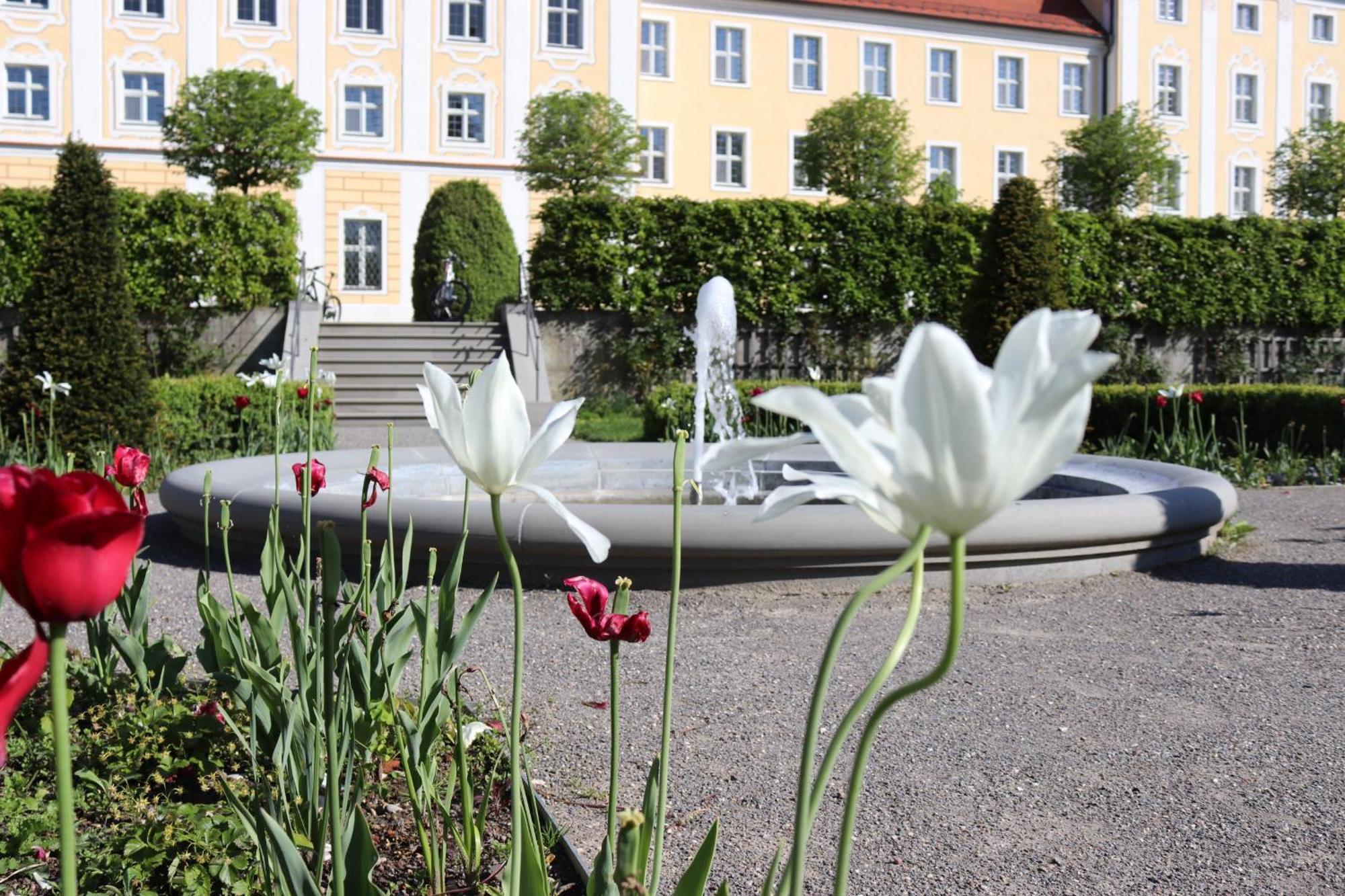 Klostergasthof Roggenburg Exterior photo