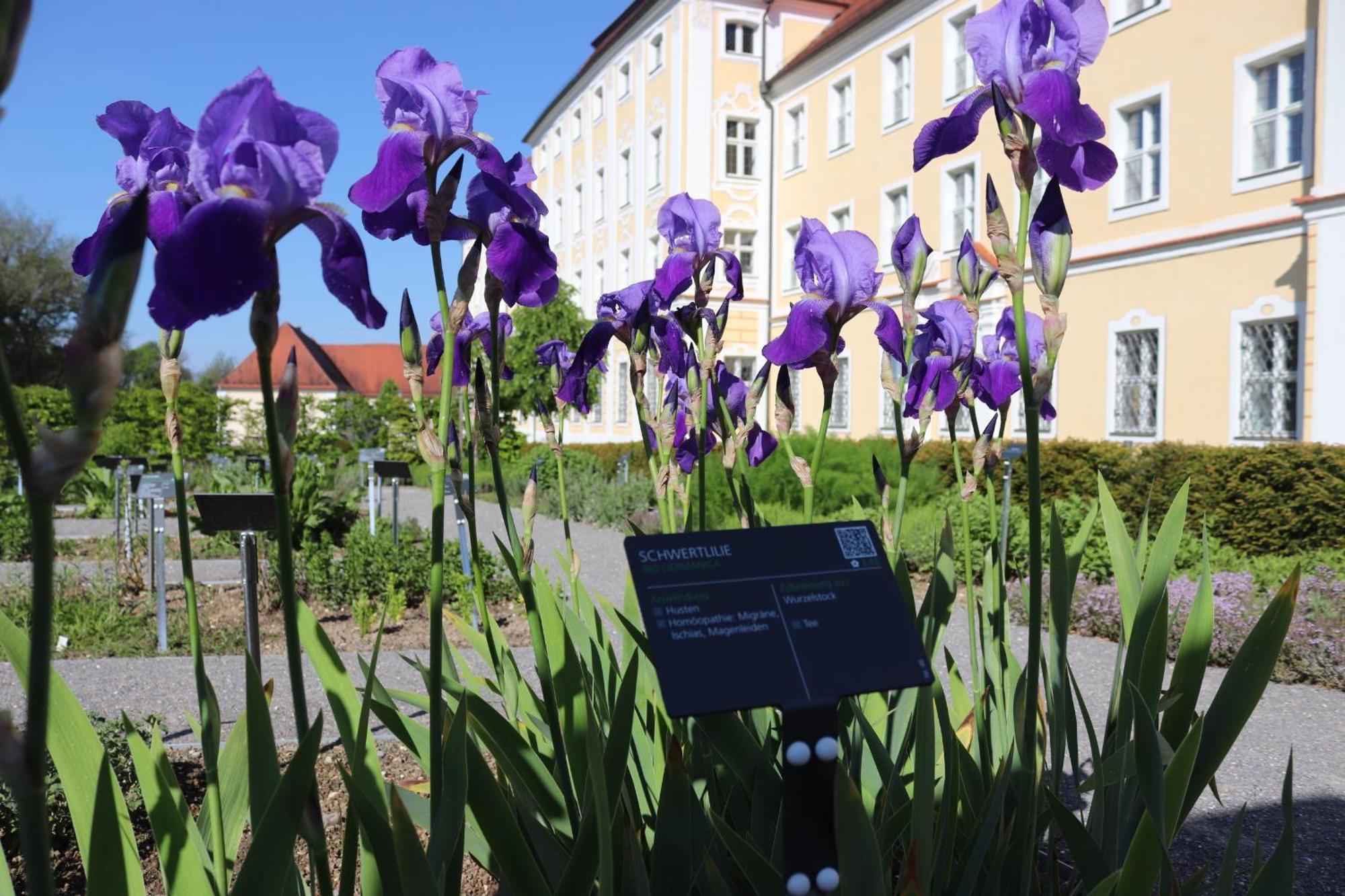 Klostergasthof Roggenburg Exterior photo